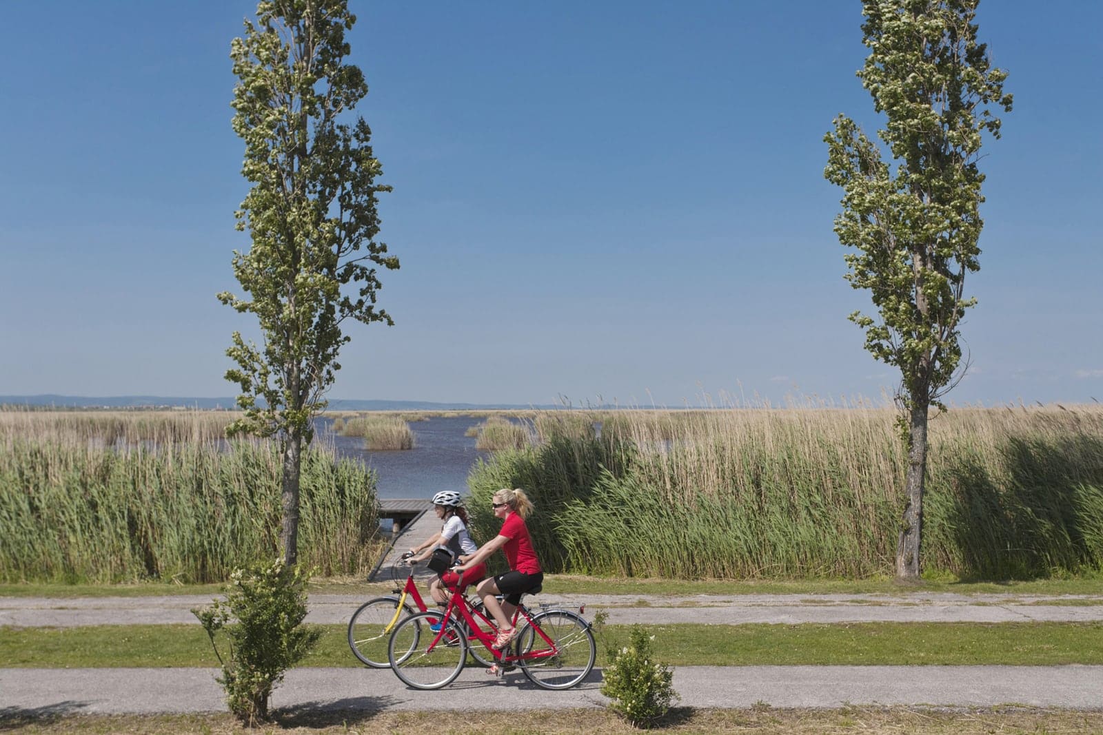 Radreise Österreich Neusiedler See Radweg