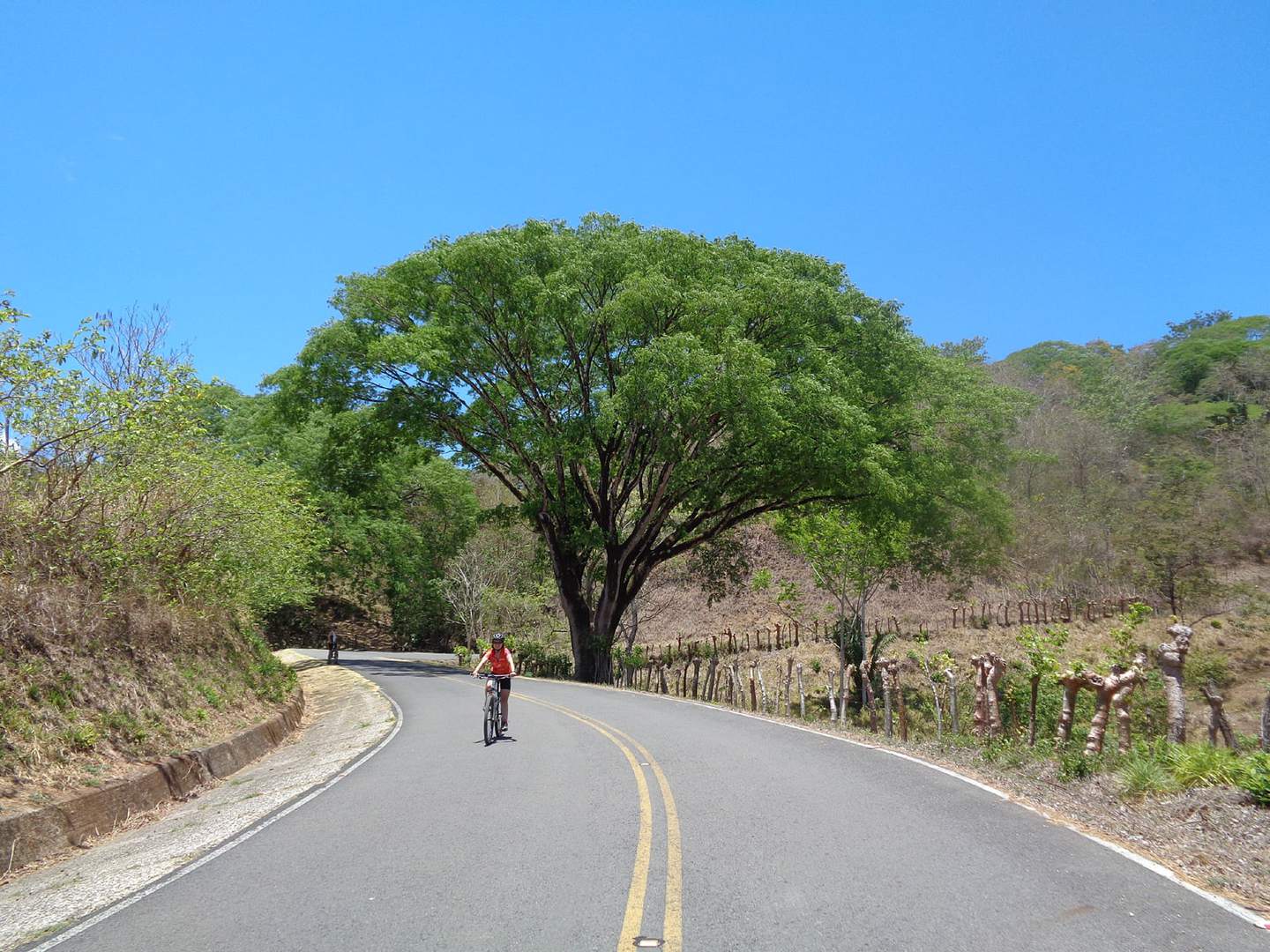 Radreise Costa Rica Aktivreise Radfahrer auf Straße