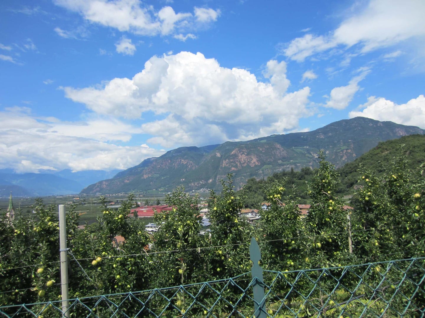 Radreise Deutschland Österreich Italien Via Claudia Augusta, Blick über eine Apfelplantage im Wipptal auf die Alpen