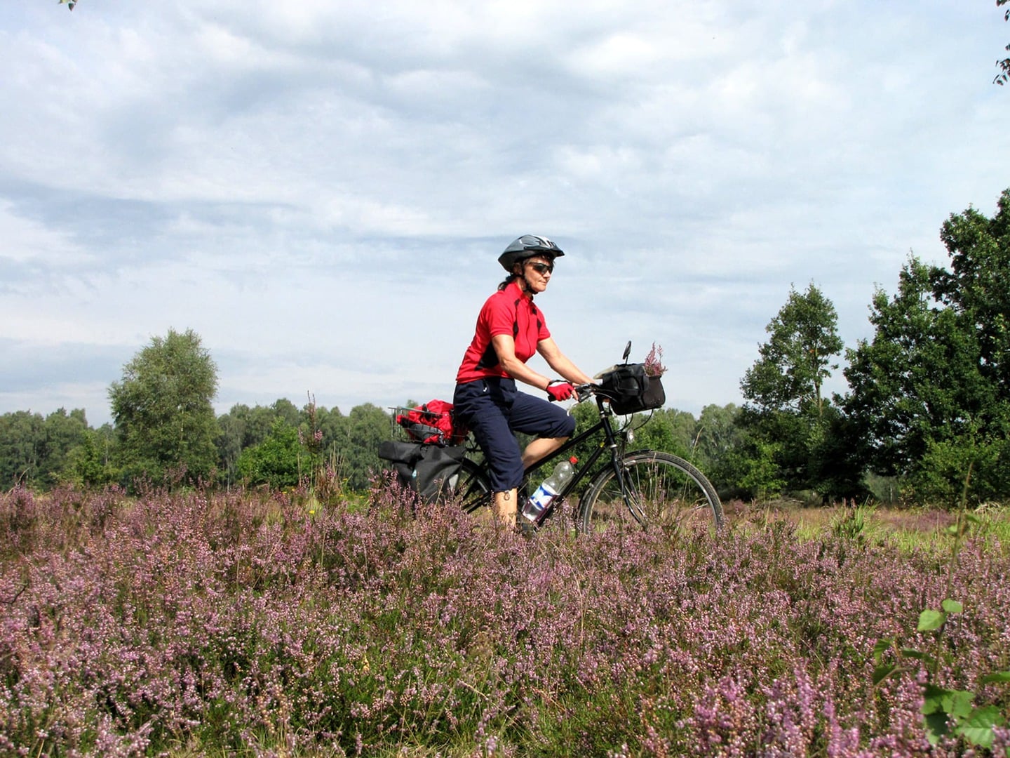 Radreise Deutschland Lüneburger Heide Radlerin Heidelandschaft