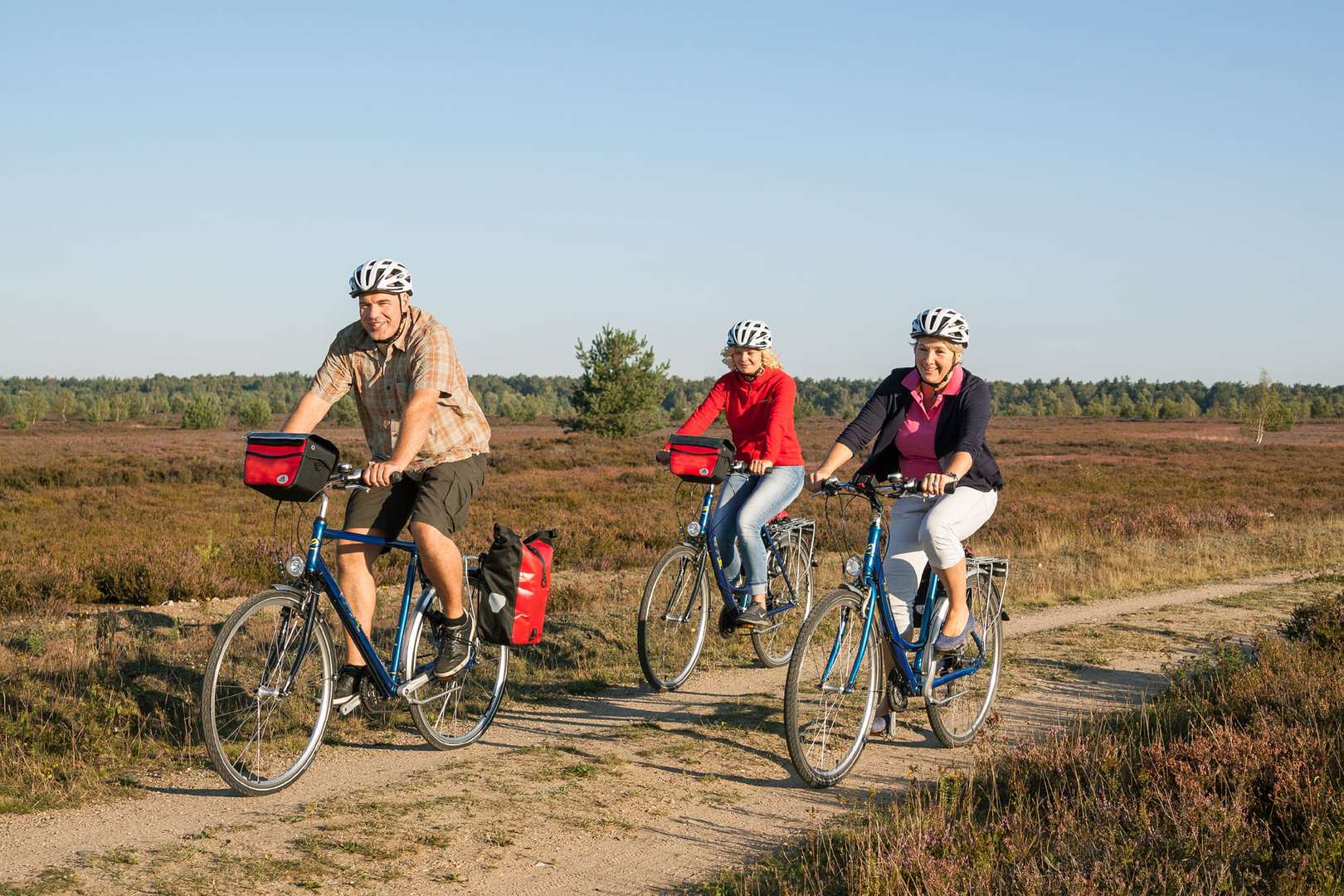 Radreise Deutschland Lüneburger Heide Radler inmitten Heidelandschaft