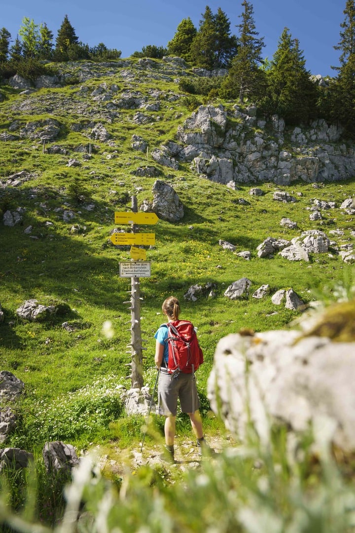 Wanderreise Deutschland Bayern Alpen Tegernsee Schliersee - Wanderer Wegweiser Breitenstein