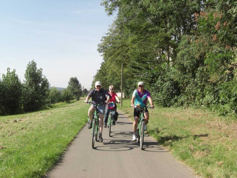 fahrrad nach wunsch an der mosel