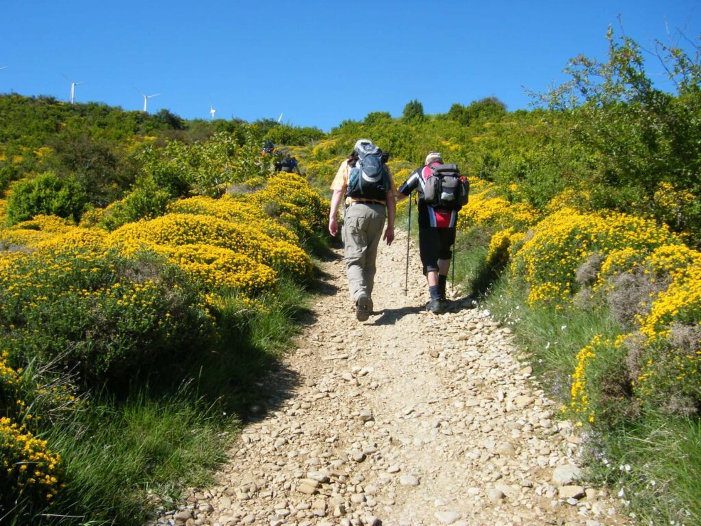 Wanderreise Spanien Jakobsweg Pilgerweg nach Santiago de Compostela - Wanderer