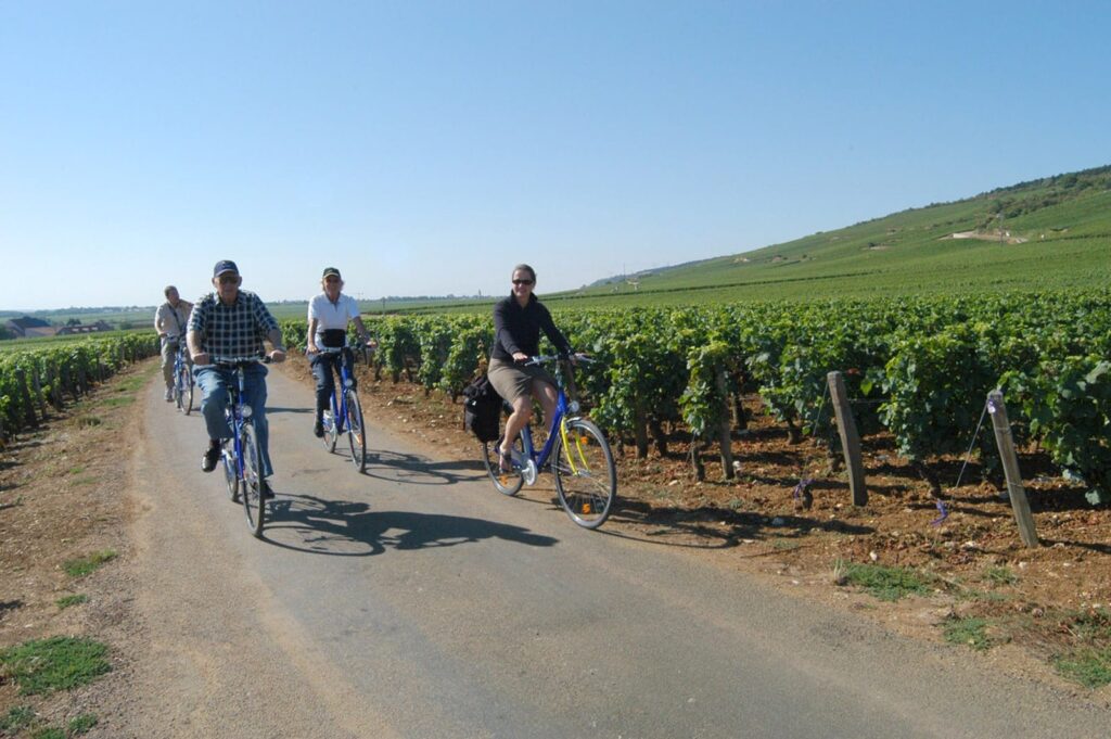 Radreise Frankreich Südburgund - Radler auf Radweg im Weinberg