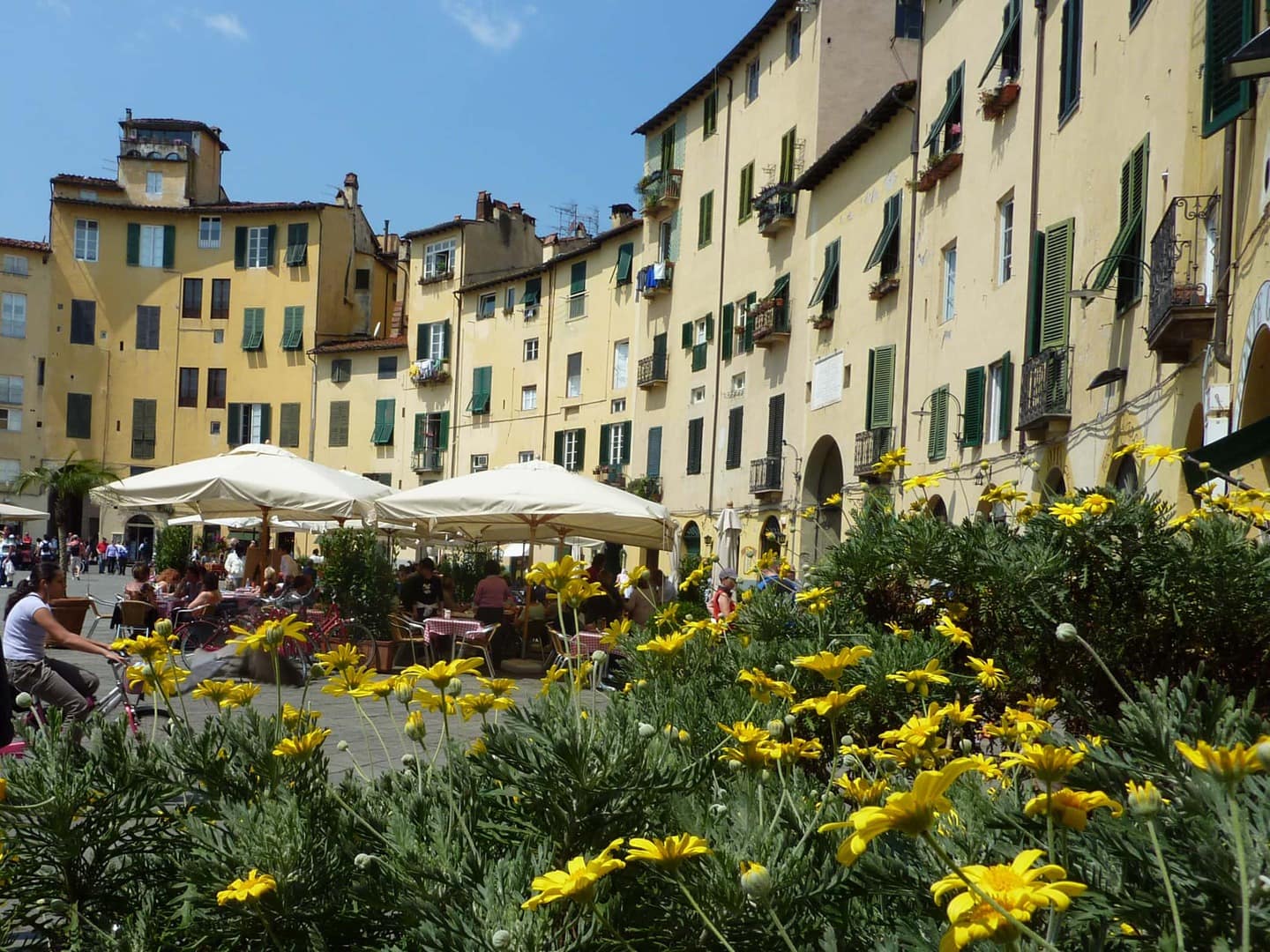 Radreise Italien Alpen-Rom, gelb getünchte Häuserfassade mit grünen Fensterläden mit gelben Blumen im Vordergrund am Piazza dell' Anfiteatro in Lucca in der Toskana