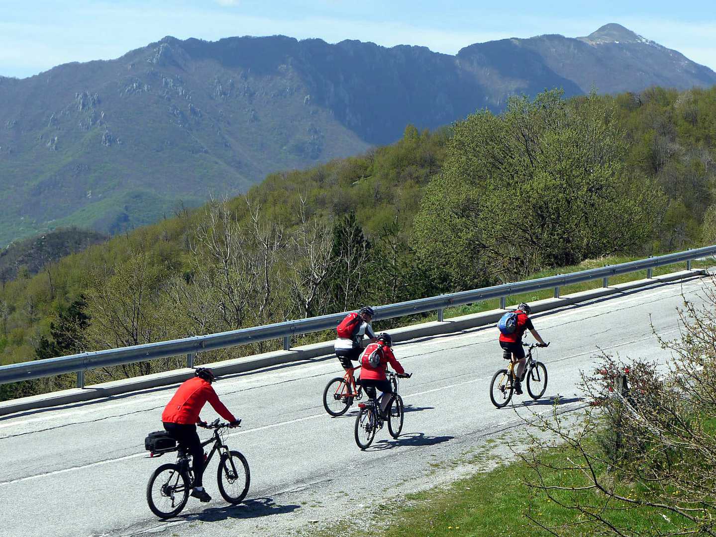 Radreise Italien Ligurien Blumenriviera, vier Radler eine Strasse im ligurischen Hinterland in den Ausläufern der Seealpen befahrend