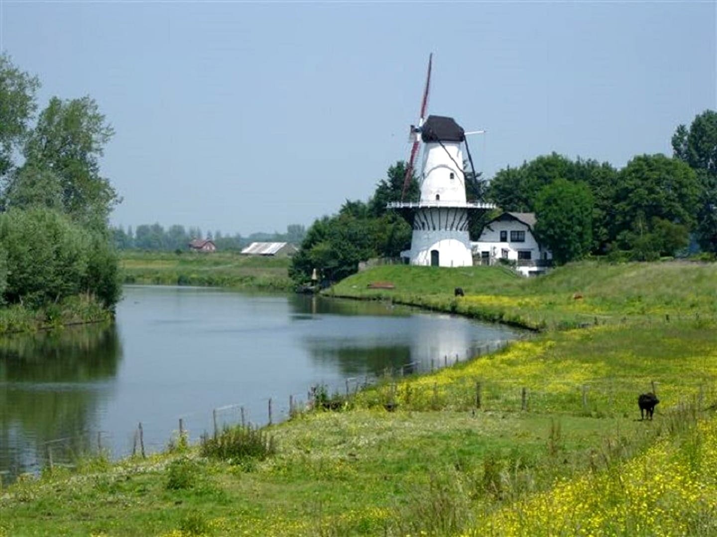 Rad und Schiffsreise Maastricht nach Amsterdam - Betuwe Windmühle