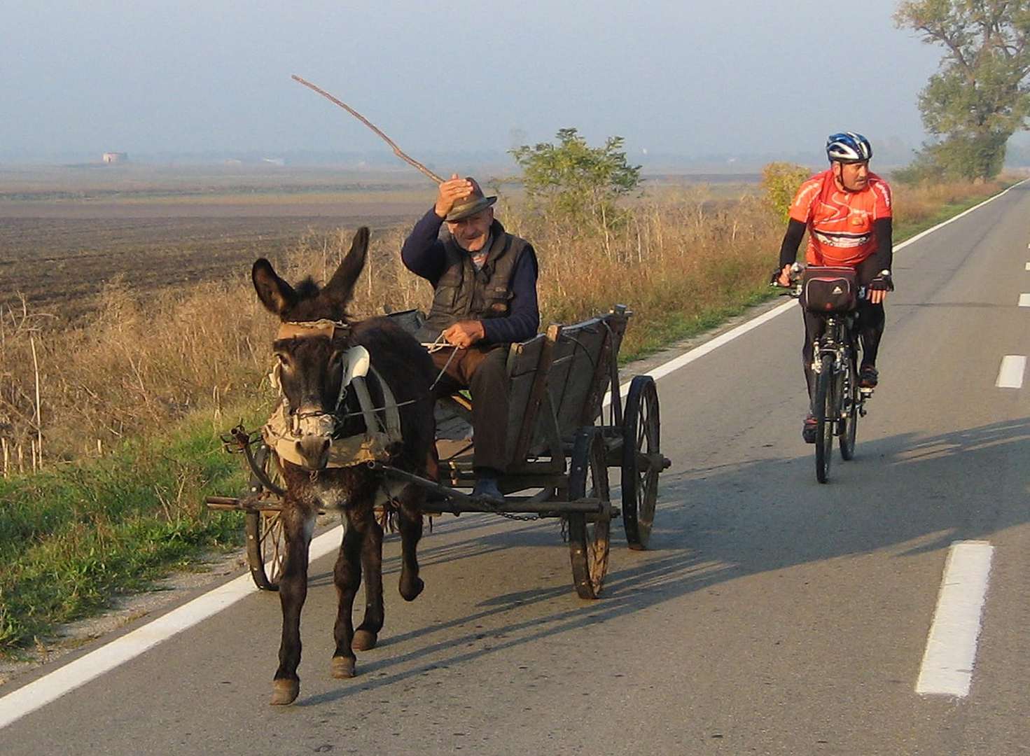 Radreise Rumänien Donaudelta ans Schwarze Meer, Ein Radler der Launer-Radgruppe überholt einen Eselskarren