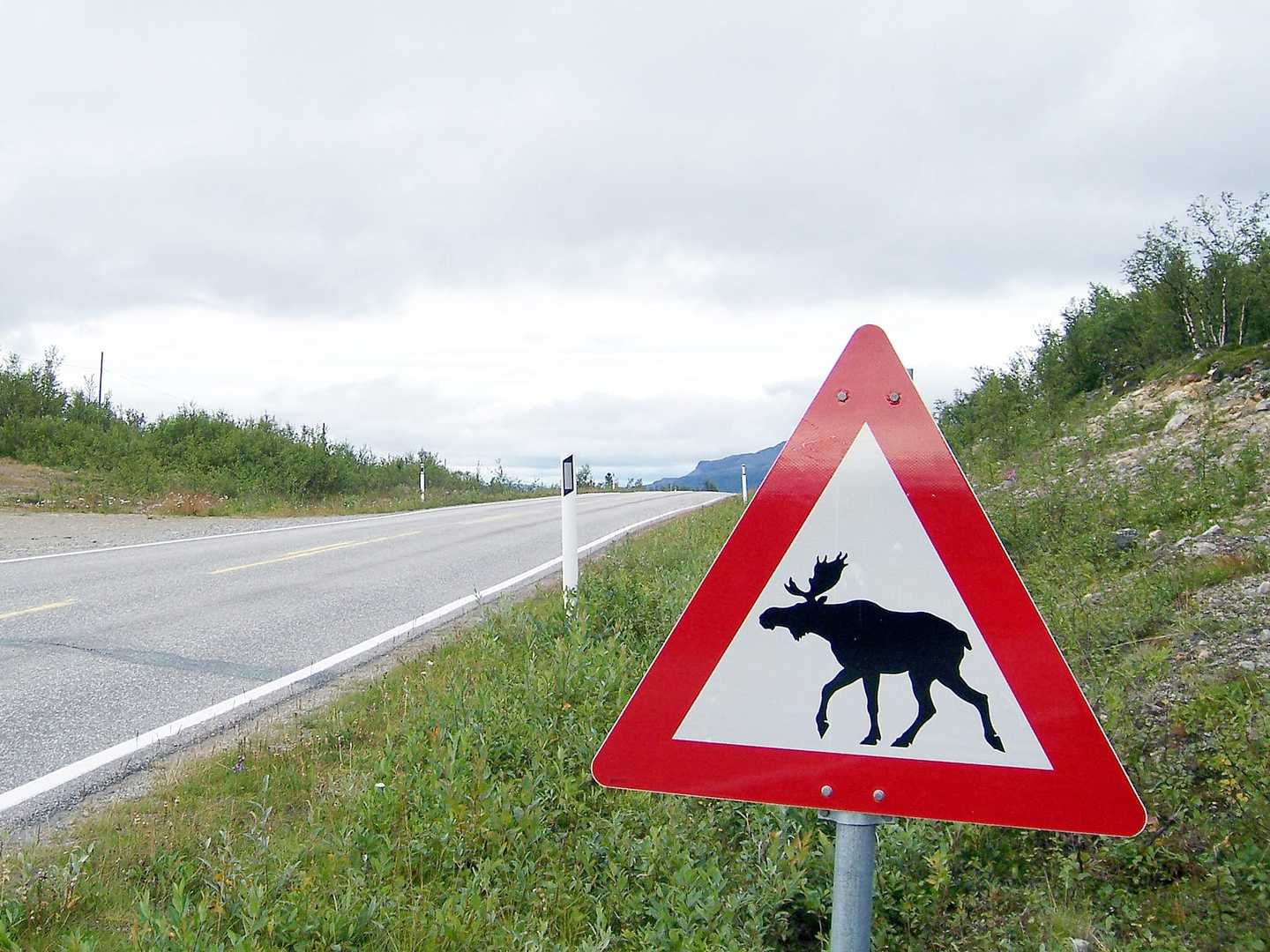 Radreise Schweden Nordkap - Straßenschild Achtung Elche