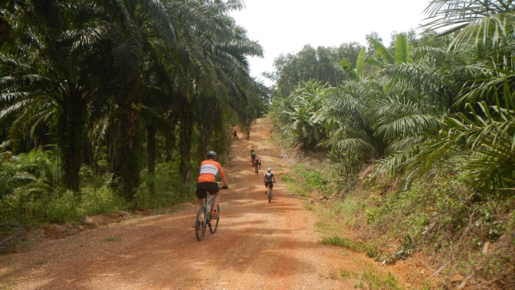 Radreise Thailand Süden - Radlergruppe auf holpriger Piste