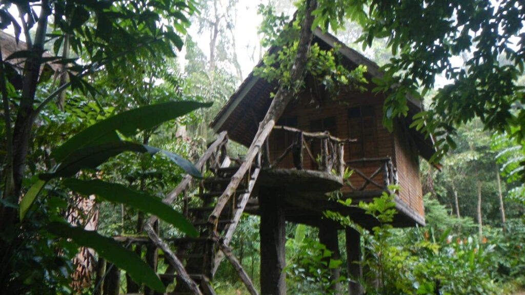 Radreise Thailand Süden - Baumhaus im Dschungel