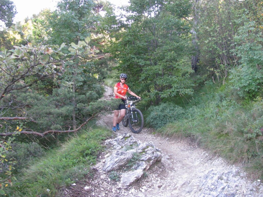 Deutschland Mountainbikereisen