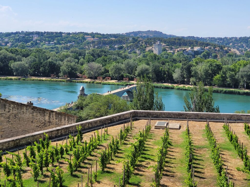 Radreise Frankreich Provence Camargue mit dem Fahrrad - Avignon Brücke