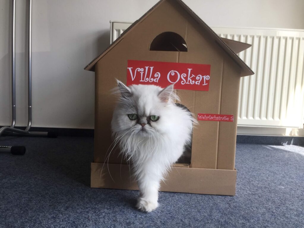 Villa Oskar Bürokater Launer Reisen