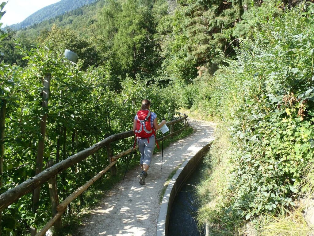 Wanderreise Italien von Meran zum Gardasee - Wanderer auf dem Waalweg