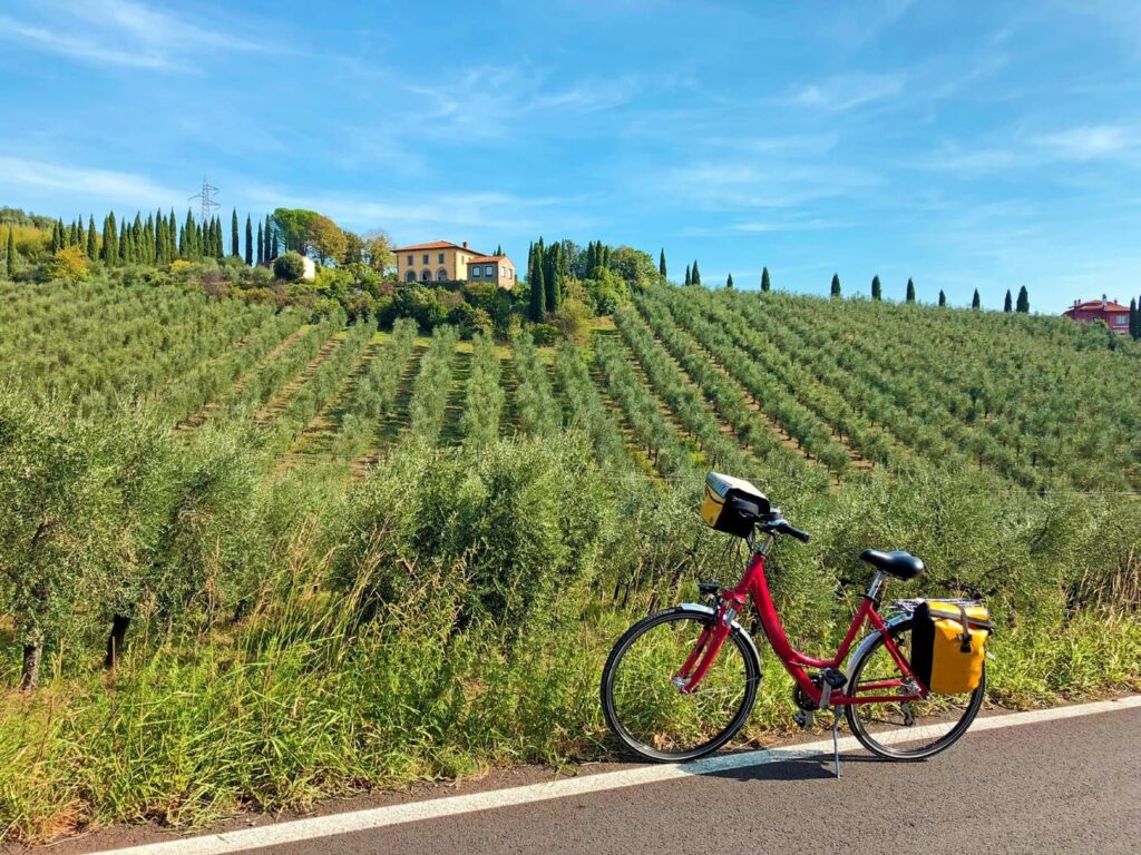 Radtour Toskana Italien - Etappe Weinberge mit Fahrrad Sternfahrt