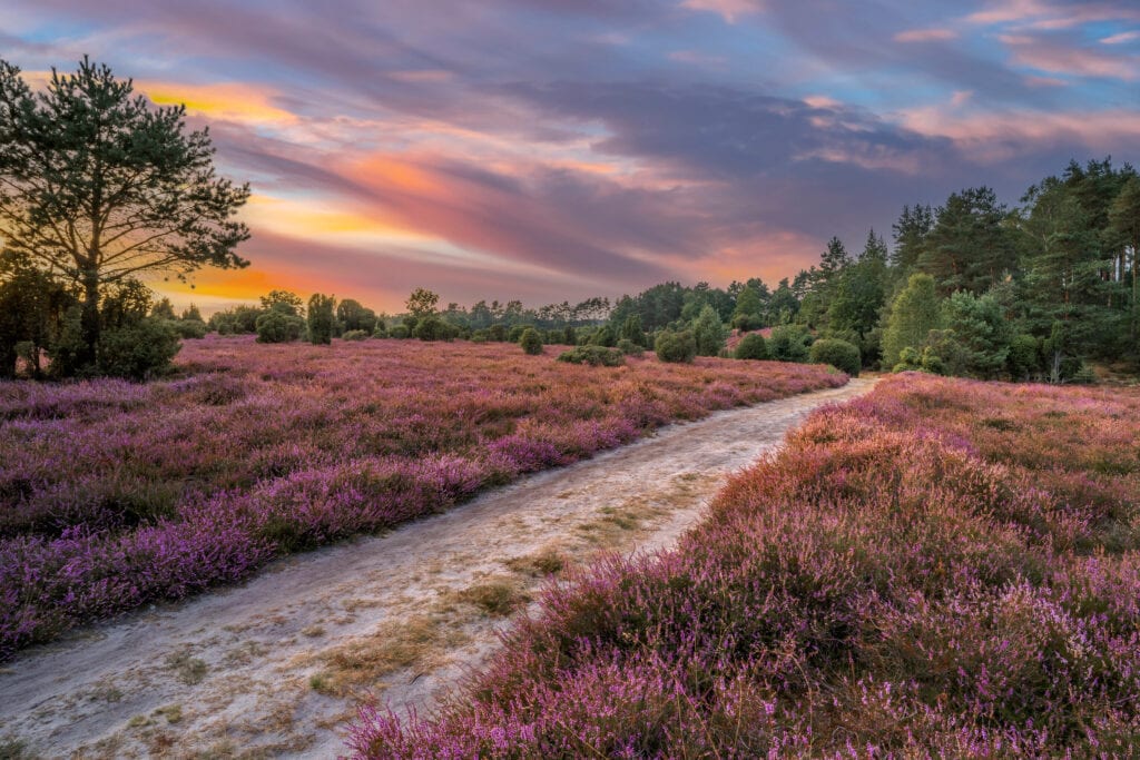 Radurlaub Lueneburger Heide