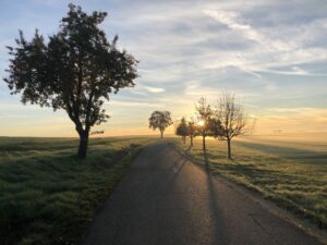 50 Jahre Ostalbkreis - Morgenstimmung