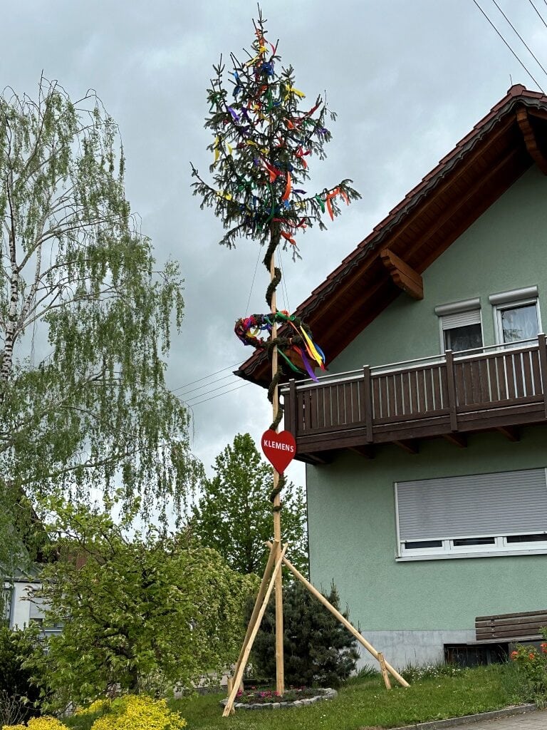 Maibaum für Klemens