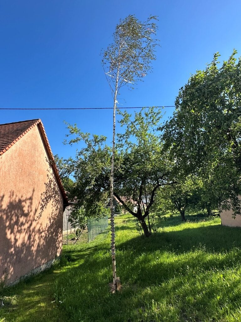 Kindermaibaum Buckenweiler - Gemeinde Fichtenau - Kreis Schwäbisch Hall