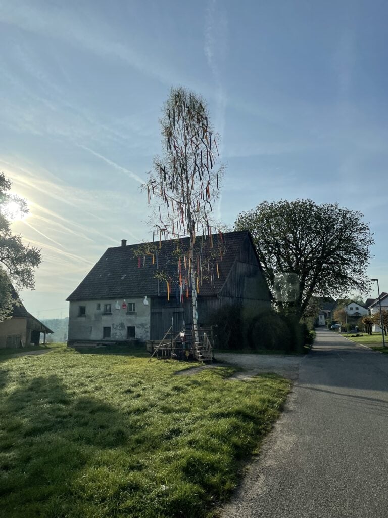 Der Maibaum - eine schöne Birke von Altmannsrot bei Ellwangen