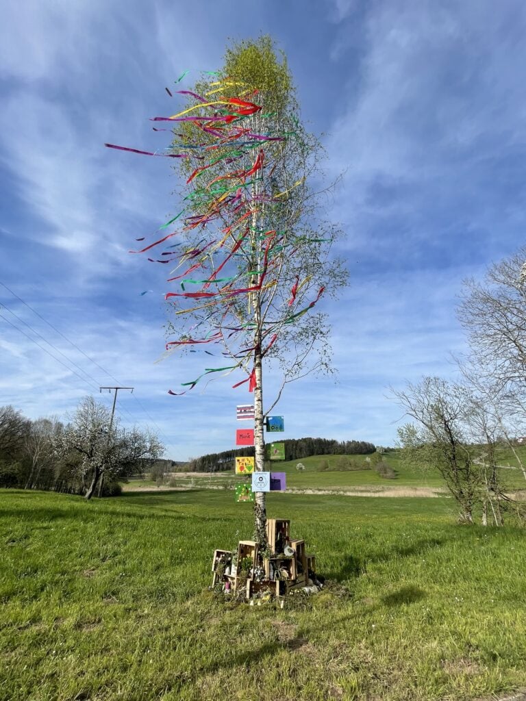 Der Maibaum der kleinen Gemeinde Hardt bei Ellwangen