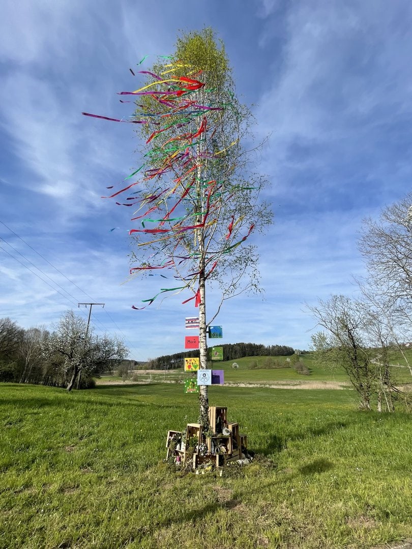 Wie Lange Lässt Man Einen Maibaum Stehen Maibaum Tradition - Maibaum Kultur - Über Brauch und Ursprung - Woher