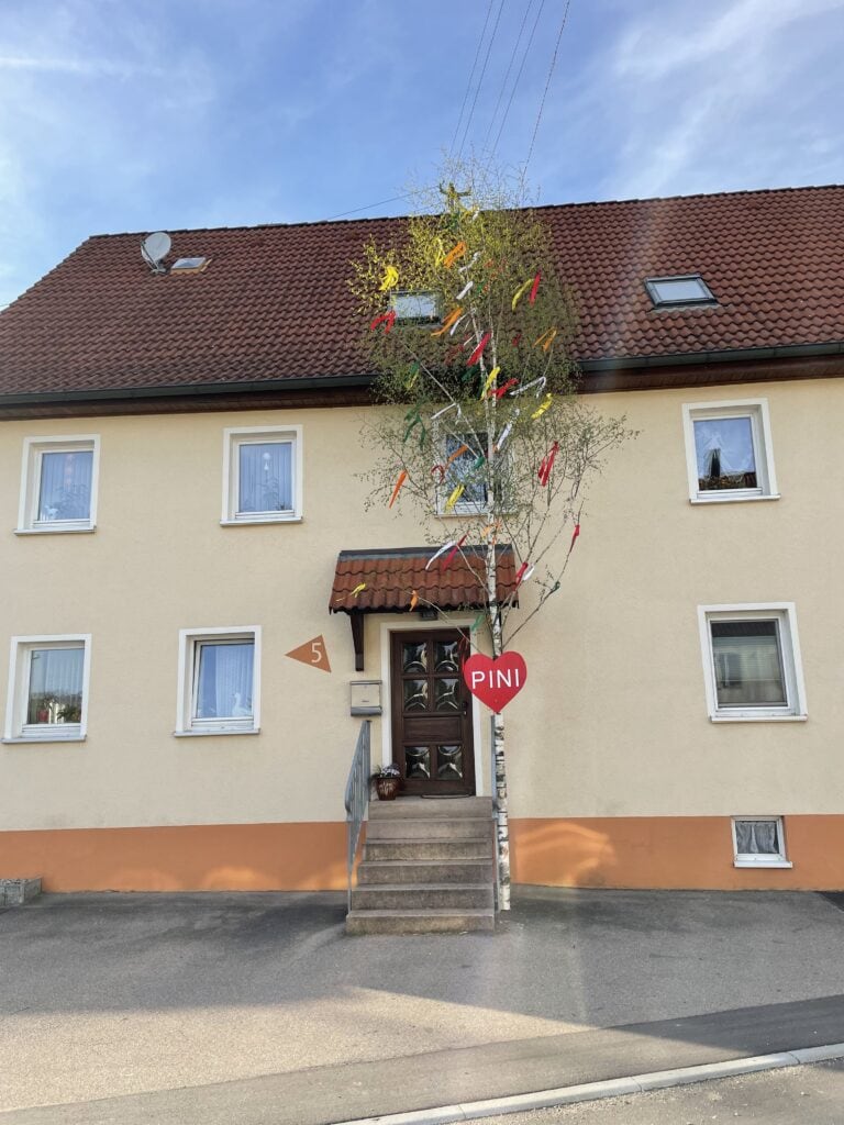 Und das ist ein besonderer kleiner Maibaum, nämlich der Maibaum von "Pini" aus Röhlingen. Hier hat sich der "Bursche" etwas besonderes einfallen lassen und für seine Liebste gleich einen ganzen Baum aufgestellt.