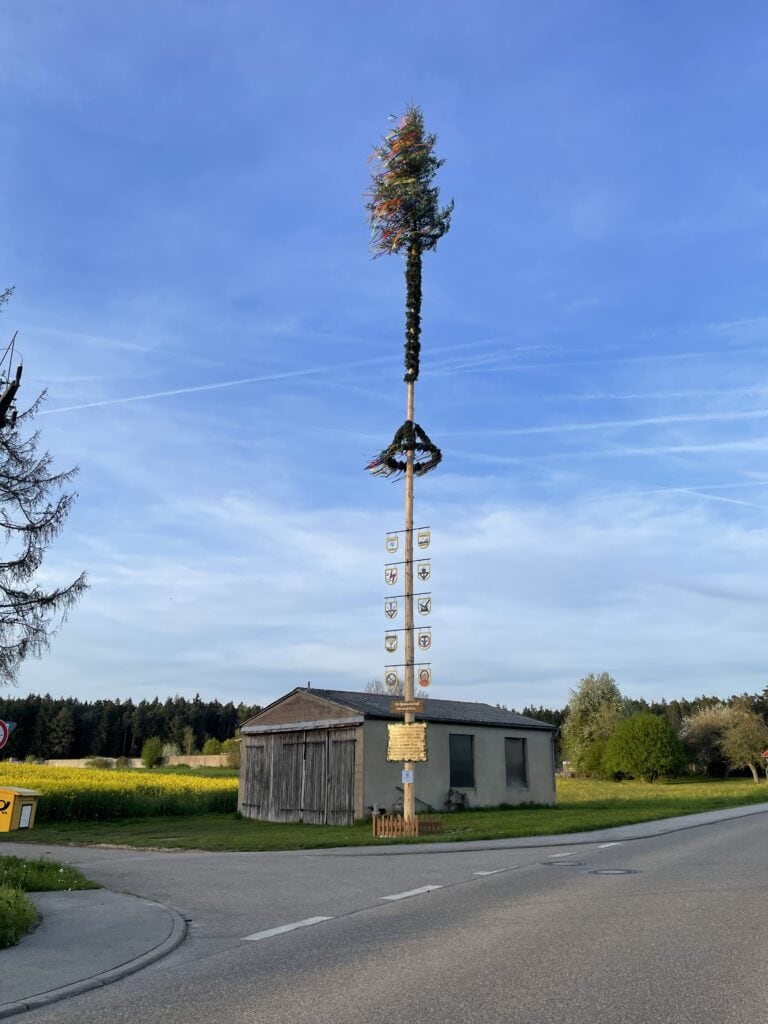 Die Dorfgemeinschaft aus Dürrenstetten (gehört zur Gemeinde Wört) stell jedes Jahr einen schönen Maibaum auf.