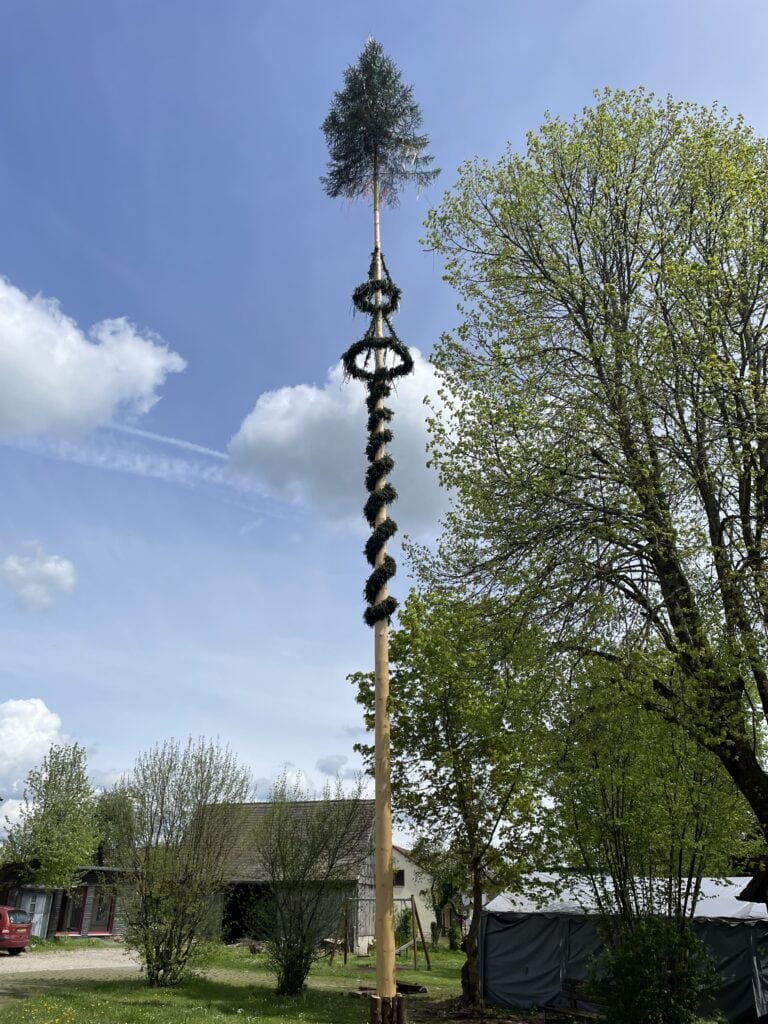 Wolfertsbronn und sein Maibaum. Die kleine Gemeinde liegt bereits in Mittelfranken unmittelbar vor den Toren von Dinkelsbühl