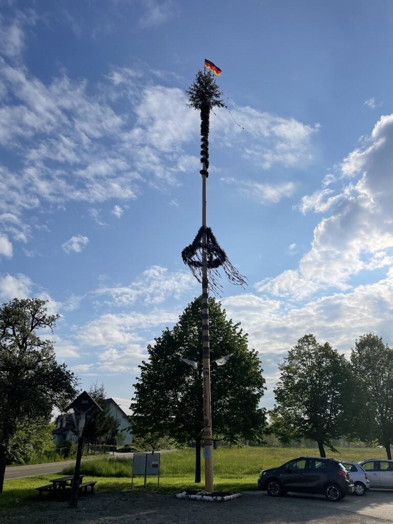 Maibaum Ellenberg