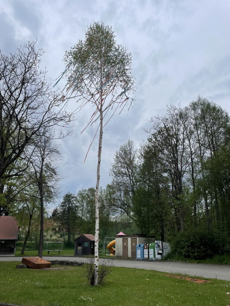 Der Maibaum von Wittenbach in Mittelfranken