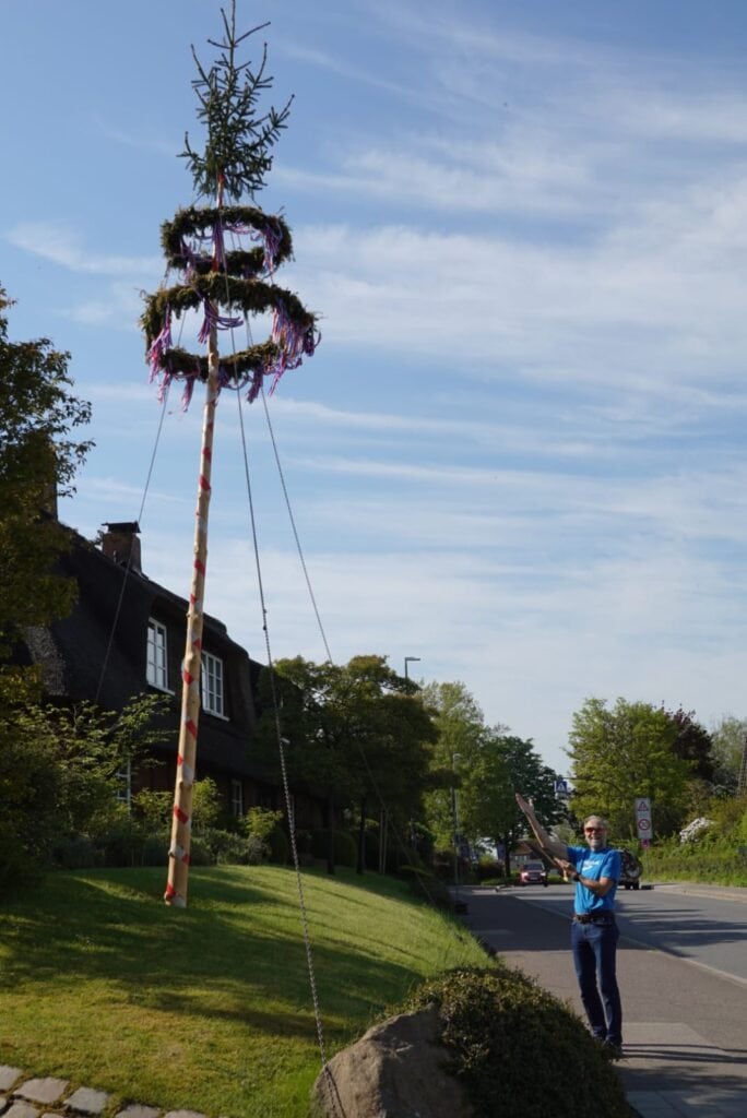 Maibaum von Altenholz in Schleswig Holstein