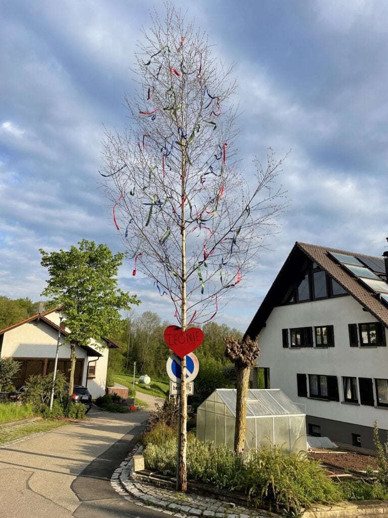 Maibaum von Leoni aus Hohenberg