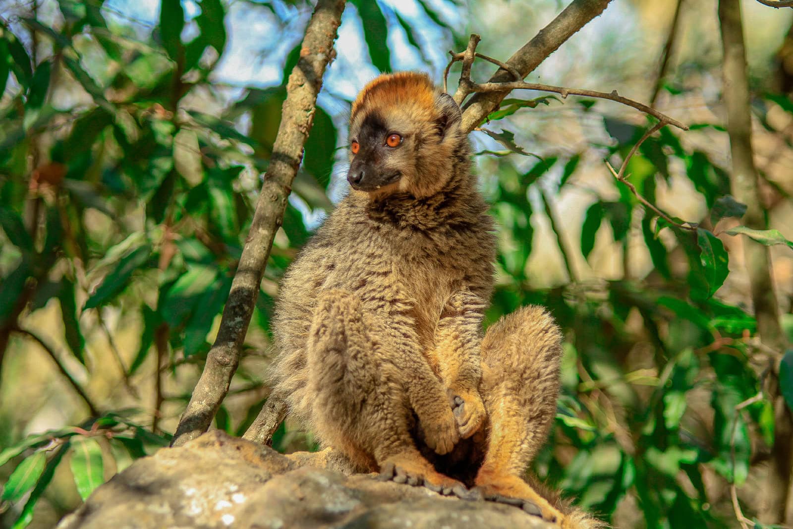 Radreise Madagaskar - Inselstaat - Indischer Ozean - Afrika