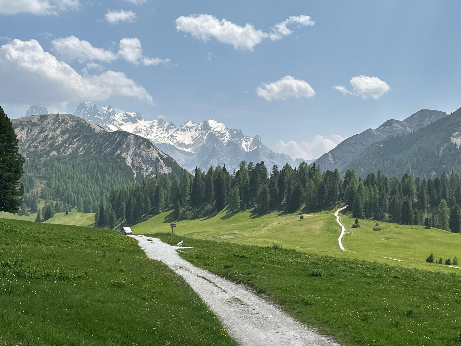 Radweg durch grüne Almwiesen mit Blick auf schneebedeckte Dolomiten - ideal für Radreise in Südtirol