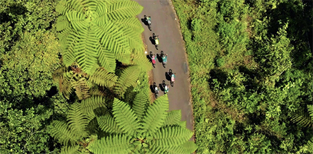 Radreise Indonesien Bali Java - Downhill vom Ijen durch den Regenwald